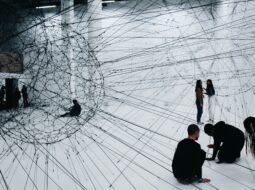 Collaborative Networks